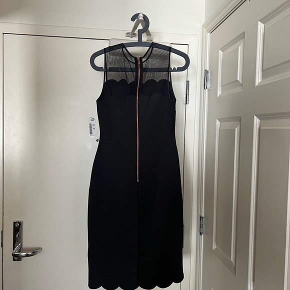 Ted Baker, Scallop Mesh Overlay Bodycon dress, NWT - Picture 7 of 7